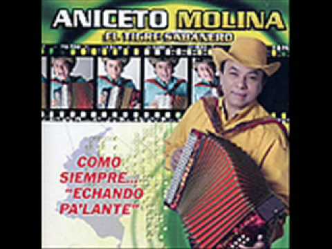 don gollo aniceto molina