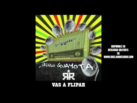 RADIO GUAYOTA - VAS A FLIPAR