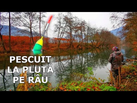 Pescuit LA PLUTA Pe RÂUL Crișul Alb Cu PÂINE după SCOBAR si CLEAN cu Bologneza