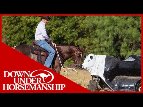 Clinton Anderson: Build Your Horse's Confidence Around Spooky Objects - Downunder Horsemanship