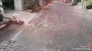 Download lagu Endank soekamti - Ojo nesu mp3