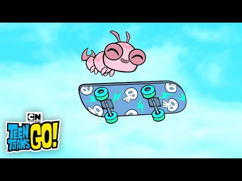 Searching for Silkie | Teen Titans GO! | Cartoon Network