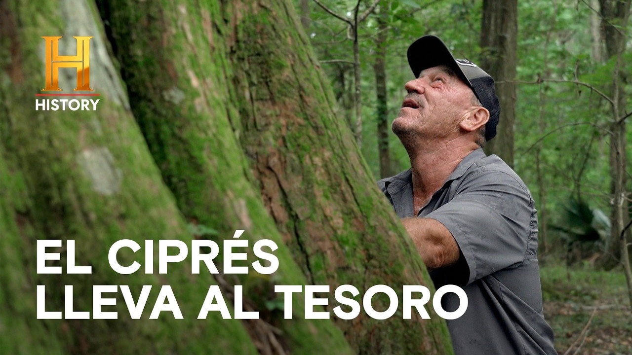 ¿Oro Confederado? El Señor Sterling Encuentra La Pista De Su Padre 👴💰 - MISTERIOS DEL PANTANO