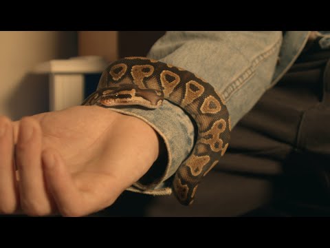 i4co - Notre Dame (Prod. Sterza)