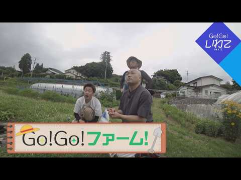 YouTube動画