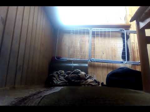 2021 m. rugpjūčio 8 d.