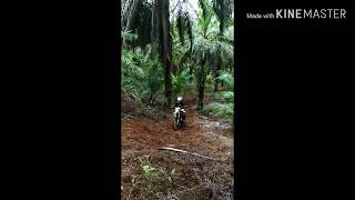 preview picture of video 'Tanjakan Penyesalan Trail Adventure Mangkutana #LuwuTimur'