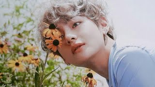 WE USED TO BE CRAZY IN LOVE BTS V EDIT✨️💞�