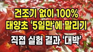 건조기 없이 5일만에 100% 태양초 고추 말리기