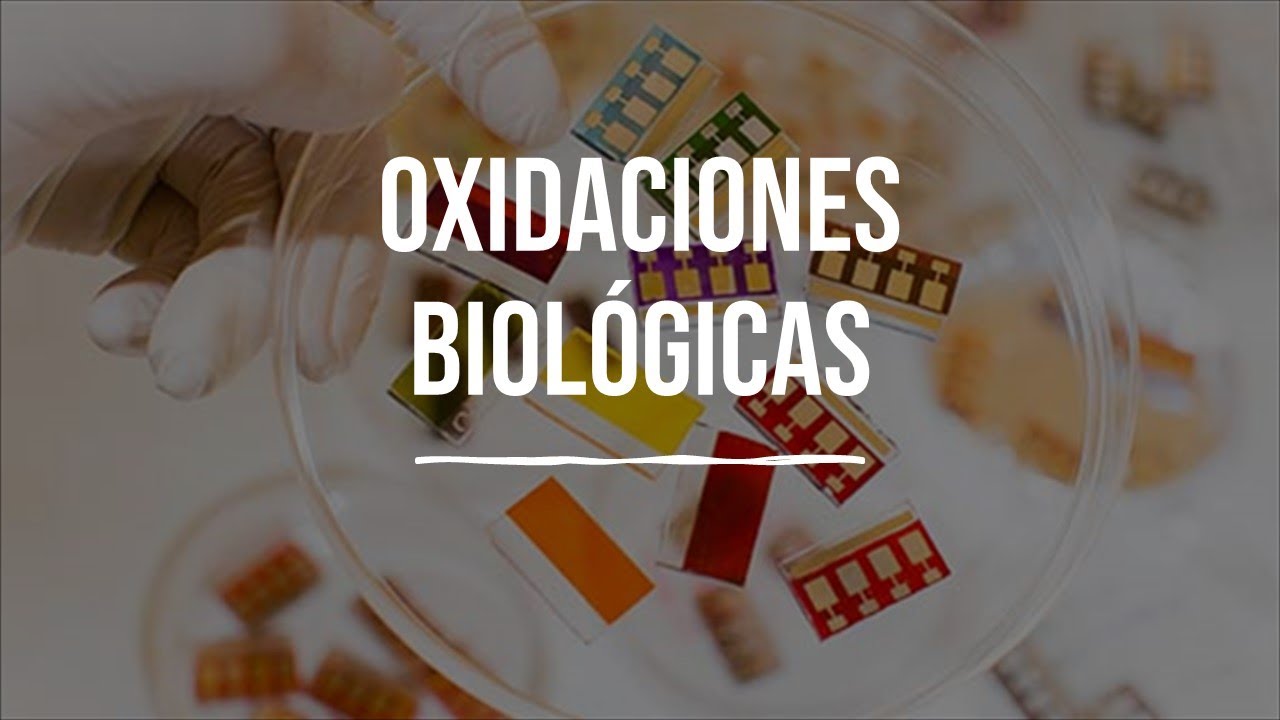Oxidaciones Biológicas - Bioquímica - Lic. en Nutrición