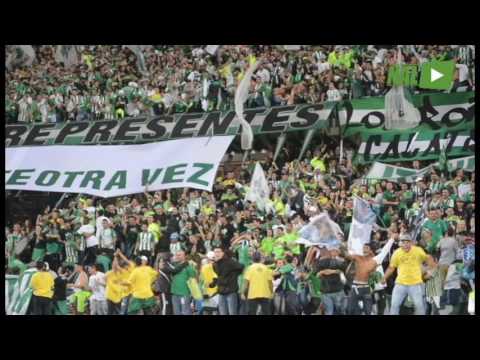 "Hinchada alentando ante Chapecoense" Barra: Los del Sur • Club: Atlético Nacional • País: Colombia