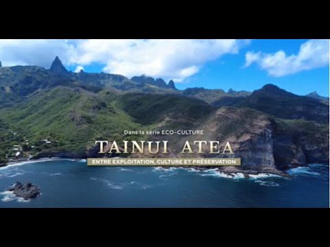 TAINUI ATEA