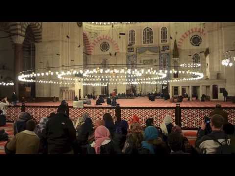 Sociology Study Tour