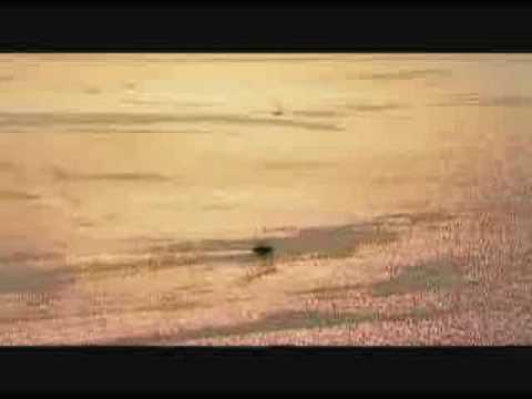 Quasar - World Beach