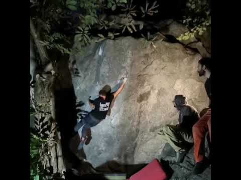 CHIRONICO - Selection Door