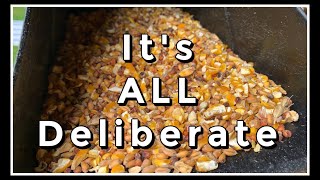 It's ALL Deliberate!