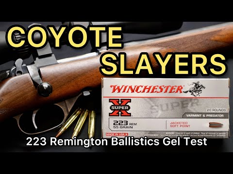 COYOTE SLAYERS!? 223 Remington Winchester 55gr JSP Ammo Test