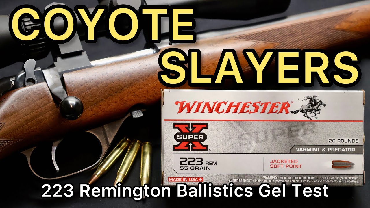 COYOTE SLAYERS!? 223 Remington Winchester 55gr JSP Ammo Test