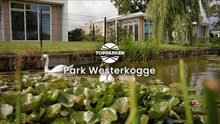 TopParken Park Westerkogge - Koggenland - Afbeelding N°2