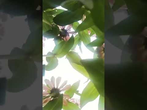 Beautiful nature❤️