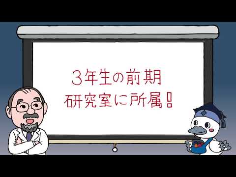 「工学部 応用化学科」応用化学科の特長「サステイナブル化学編」