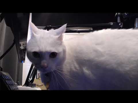 CAN SNOWBALL BEAT THIS BACKDOORING IZANAMI WITH TERRA?! - Masters Ranked Duel - SMITE