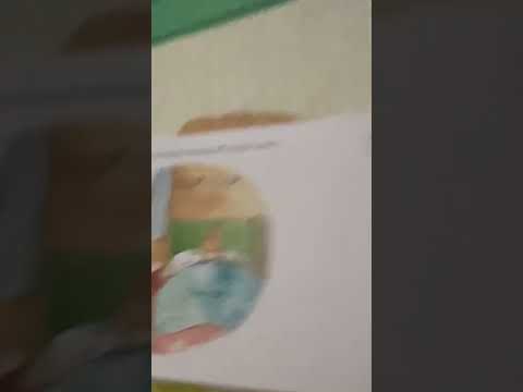 Nirvi’s story A  Christmas wish …