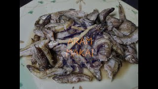 Download lagu IKAN SUNGAI (ENSELUAI, BANGAH & BANTA) PANSUH | FRESHWATER COOKED IN BAMBOO mp3 Download lagu IKAN SUNGAI (ENSELUAI, BANGAH & BANTA) PANSUH | FRESHWATER COOKED IN BAMBOO mp3