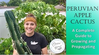 Peruvian Apple Cactus: Your Complete Guide to Growing and Propagating 🌵 #backyardgardening #cactus