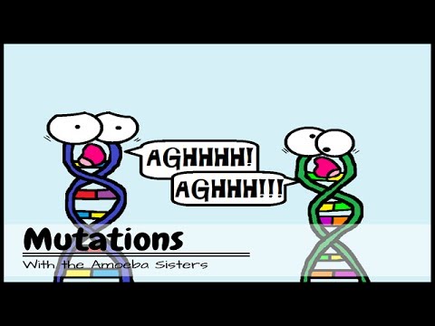 (OLD VIDEO) Mutations: The Potential Power of a Small Change