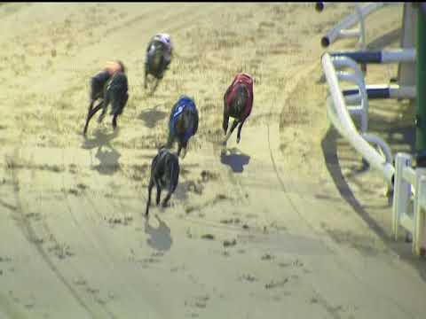 2017 WILLIAM HILL BITCHES - T4 MILADY DE WINTER