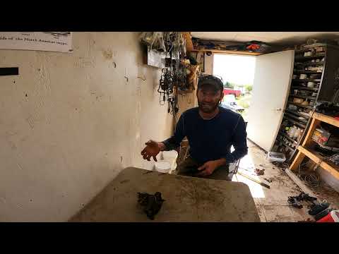 Foothold Trap Modifications to Improve Animal Welfare