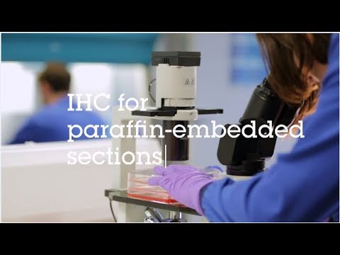 IHC for paraffin embedded sections video protocol