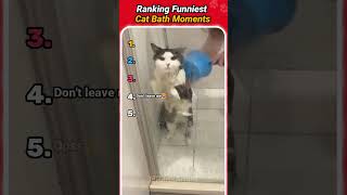 Download lagu Cat taking Bath #short mp3
