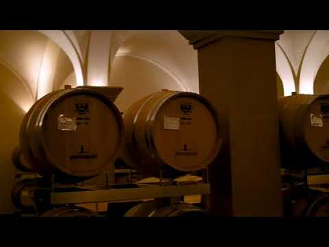 Willkommen im Lembergerland!