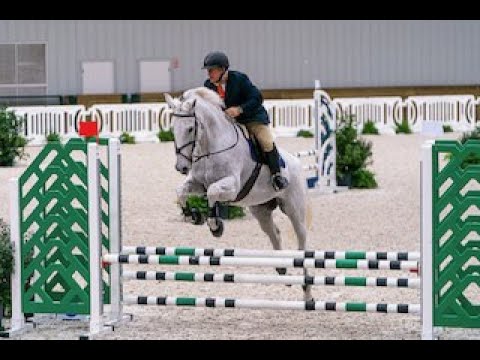 Carli De Sabette WEC .80. 2/12/2021