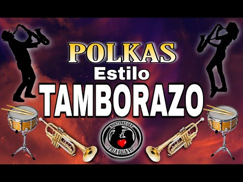 Polkas Estilo Tamborazo Para Bailar - Pala Raza Vip