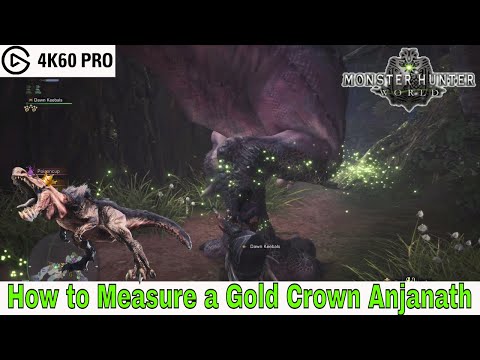 Monster Hunter: World - How to Measure a Gold Crown Anjanath Video