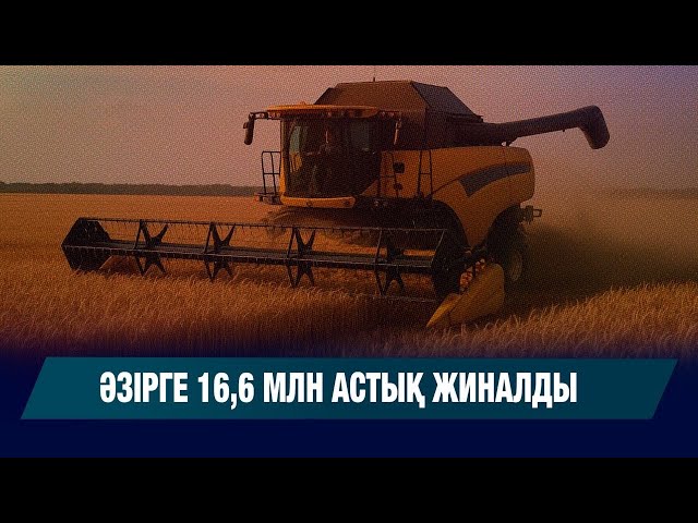 Терім науқаны: әзірге 16,6 млн астық жиналды