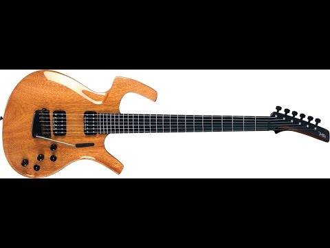 The Parker Fly Guitar, Not What You Think