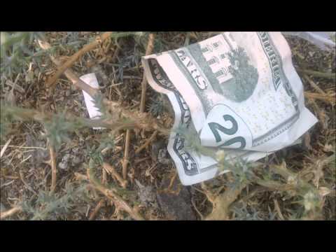 Metal Detecting 8/3/14