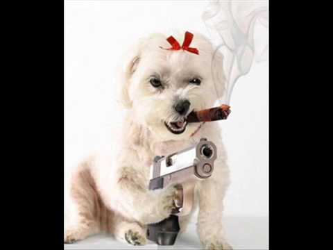 Armin van Buuren feat  Sharon den Adel Within Temptation  Doctor Traxx   In & Out remix