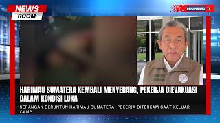 Harimau Sumatera Kembali Menerkam, Pekerja Nyaris Tewas Di Siak