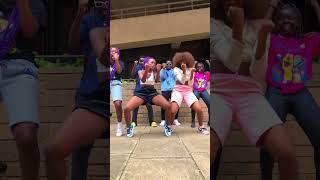 ZUCHU- HONEY CHALLENGE