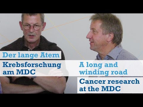 T-Zellen gegen Krebs / T cells against Cancer