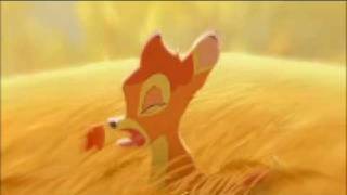 John Denver- Love Is Everywhere