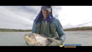 Bom Futuro Pisciculture - English