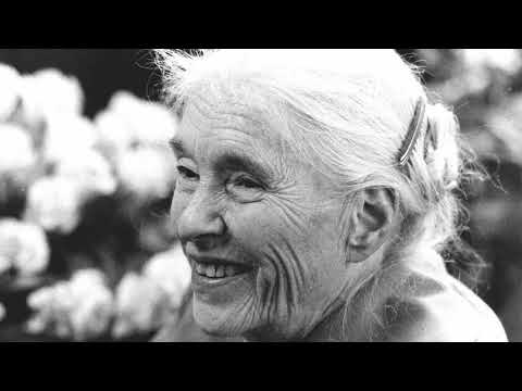 Video-Thumbnail von YouTube