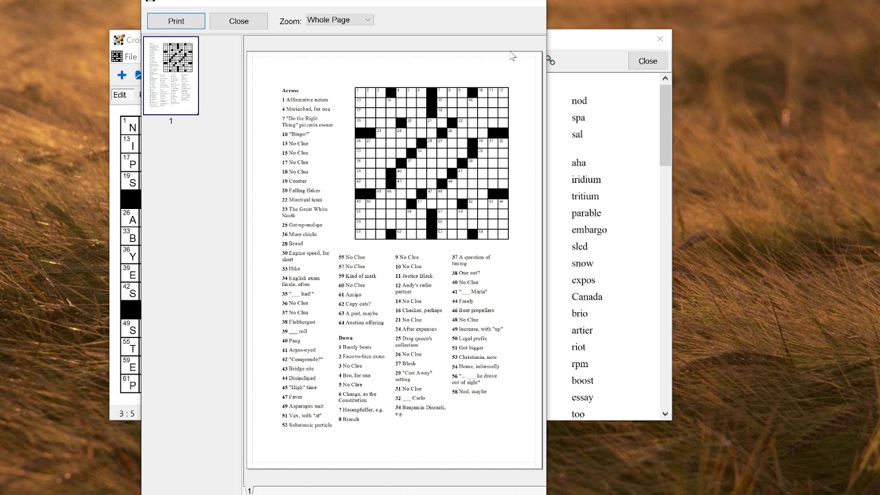 Creating American newspaper-style crossword puzzles