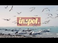 Selah Sue - I Truly Loved Ya (Möwe Bootleg) 